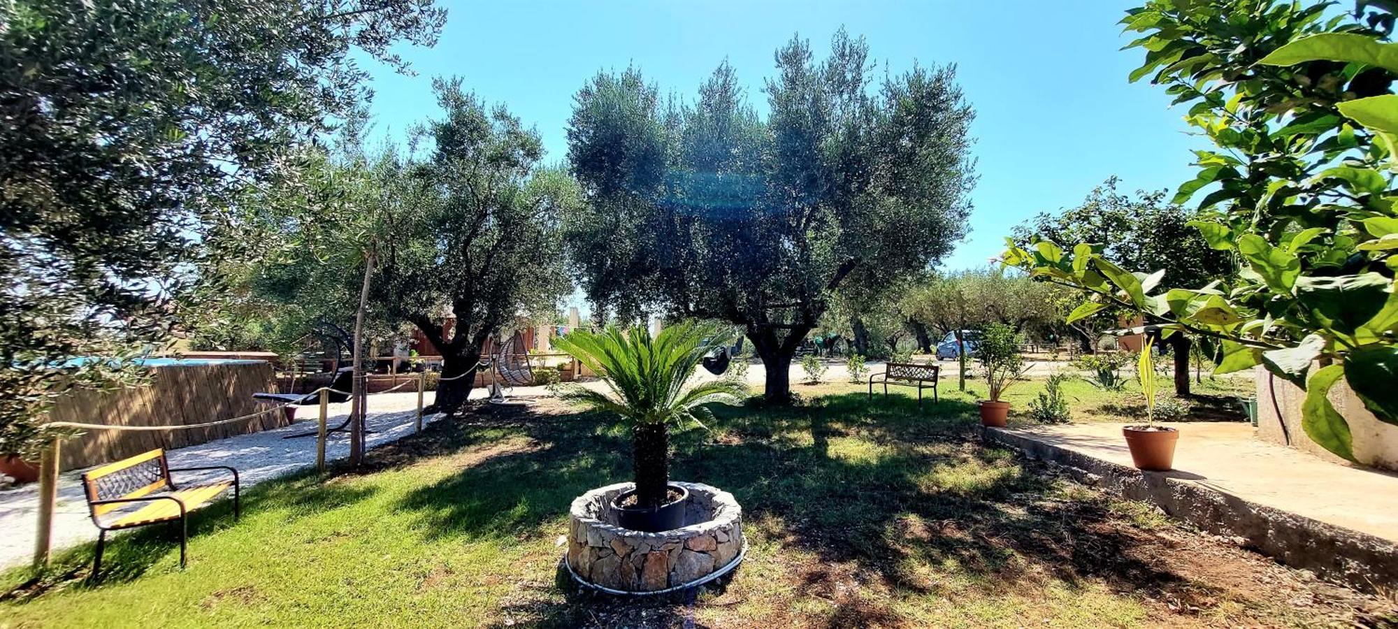 Parco Esmeralda - Family Residence E Breakfast Marina di Camerota Εξωτερικό φωτογραφία